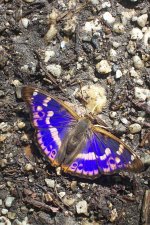 Bild ID:190