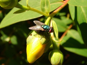 Bild ID:195